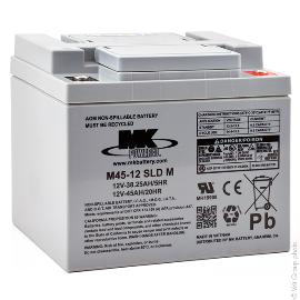Batterie plomb AGM M45-12SLD-M 12V 45Ah M6-F photo du produit