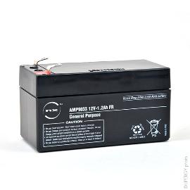 Batterie plomb AGM NX 1.2-12 General Purpose FR 12V 1.2Ah F4.8 product photo