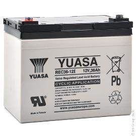 Batterie plomb AGM YUASA REC36-12I 12V 36Ah M5-F photo du produit