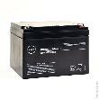 Batterie plomb AGM NX 24-12 General Purpose FR 12V 24Ah M5-F product photo 1 S